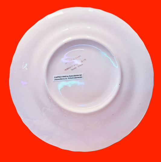 Plain back of decorative plate, on a yellow background.