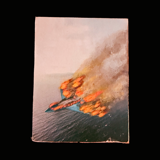 103 - Painted Wood Panel - 3x4 -Jeff Bezos Private Jet